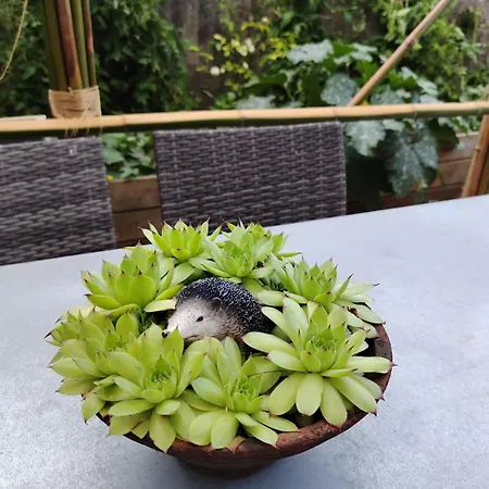 بيت للعطل La Maison O Kiwis Saint-Denis-lès-Martel