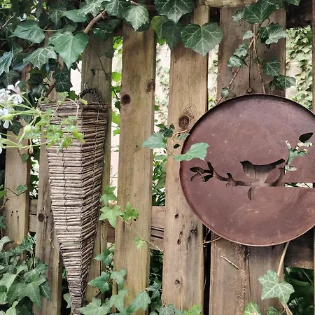 بيت للعطل La Maison O Kiwis Saint-Denis-lès-Martel